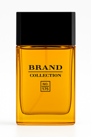 ChatGPT-Image-23-de-mai.-de-2025-12_41_19.png ChatGPT-Image-23-de-mai.-de-2025-12_41_19.png