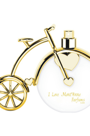 image-383.png image-383.png